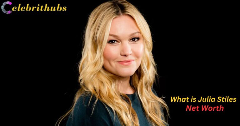 Julia Stiles Net Worth, Age, Family & Biography